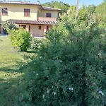 Il Boschetto Da Tiziana *