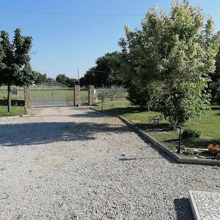 Apartment Il Boschetto Da Tiziana Badia Al Pino