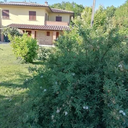 Il Boschetto Da Tiziana *
