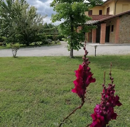 Il Boschetto Da Tiziana * Badia Al Pino